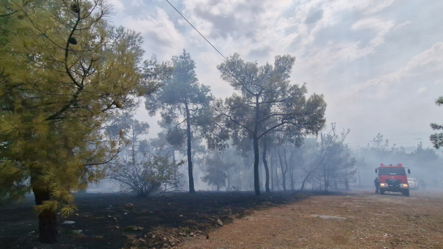 Οριοθετήθηκε η φωτιά στο Σέιχ Σου - Έκαψε 30 στρέμματα - Δείτε βίντεο