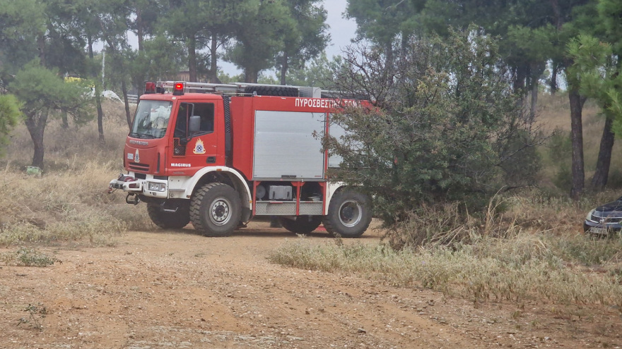 Οριοθετήθηκε η φωτιά στο Σέιχ Σου - Έκαψε 30 στρέμματα - Δείτε βίντεο