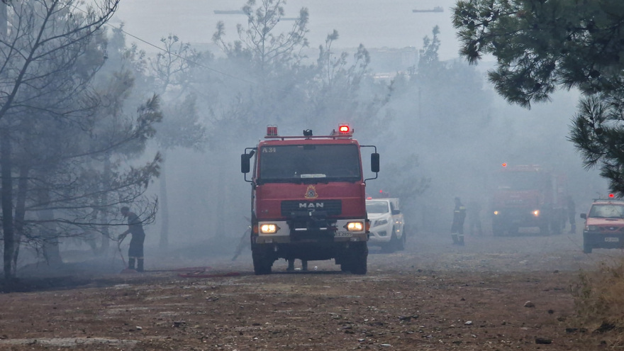 Οριοθετήθηκε η φωτιά στο Σέιχ Σου - Έκαψε 30 στρέμματα - Δείτε βίντεο