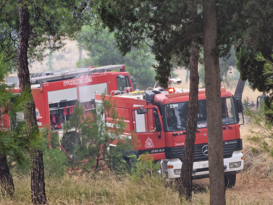 Οριοθετήθηκε η φωτιά στο Σέιχ Σου - Έκαψε 30 στρέμματα - Δείτε βίντεο