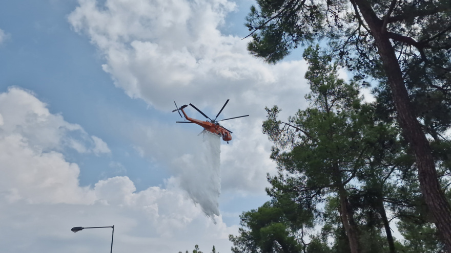 Οριοθετήθηκε η φωτιά στο Σέιχ Σου - Έκαψε 30 στρέμματα - Δείτε βίντεο