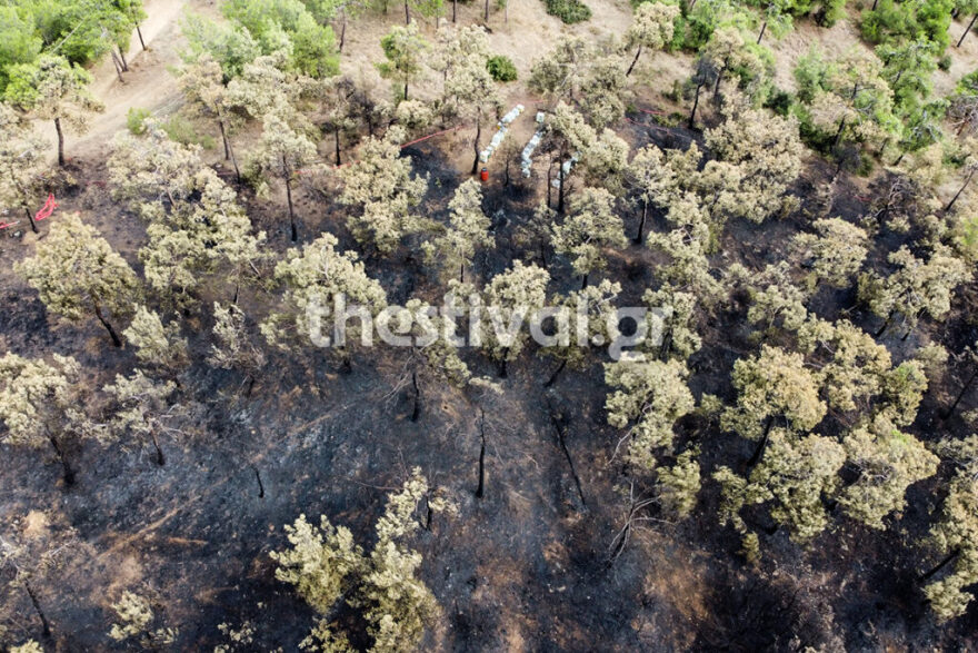 Θλίψη προκαλούν τα πλάνα από την καμένη δασική έκταση στο Σέιχ Σου