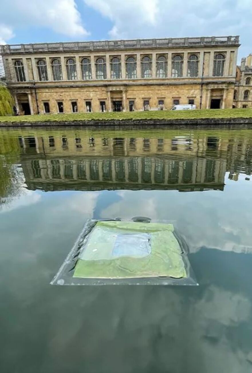 Βρετανία: Επιστήμονες εφηύραν «τεχνητά φύλλα» που παράγουν καθαρά καύσιμα - Δείτε βίντεο