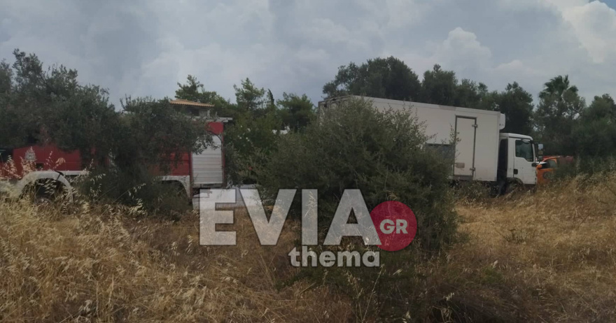 Σοβαρό τροχαίο στην Ερέτρια - Συγκρούστηκαν μετωπικά φορτηγό με βανάκι, τραυματίστηκε ένα άτομο