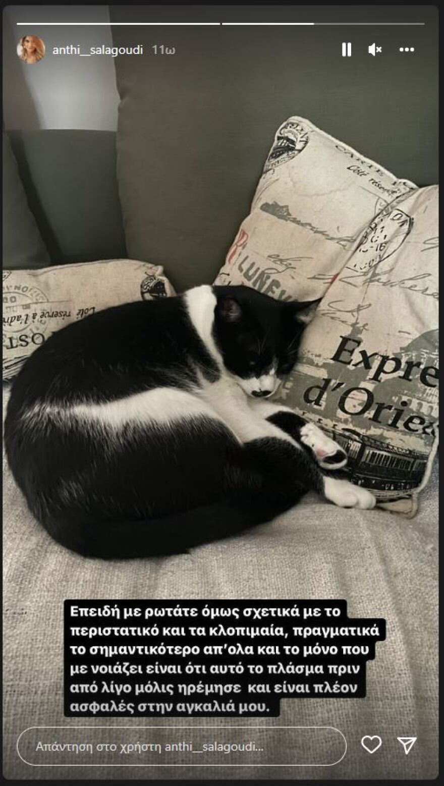 Ανθή Σαλαγκούδη για τη διάρρηξη στο σπίτι της: «Ήταν τραυματική εμπειρία»