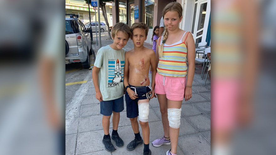 Εκατό ράμματα στον 50χρονο που δέχθηκε επίθεση από αγέλη σκύλων - «Πάλεψα για να σώσω τα παιδιά μου»