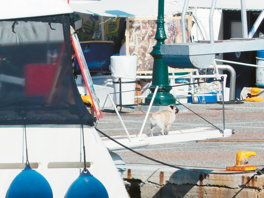 Πάνος Καμμένος: Σκαφάτος, αρμενίζει  στο Αιγαίο...