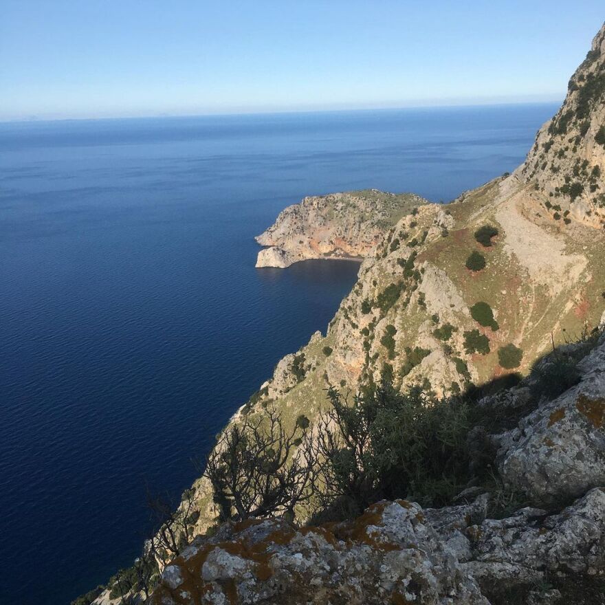 Triangle of Sadness: Στη Χιλιαδού η πρεμιέρα με πρωταγωνίστρια την αδικοχαμένη Τσάρλμπι Ντιν