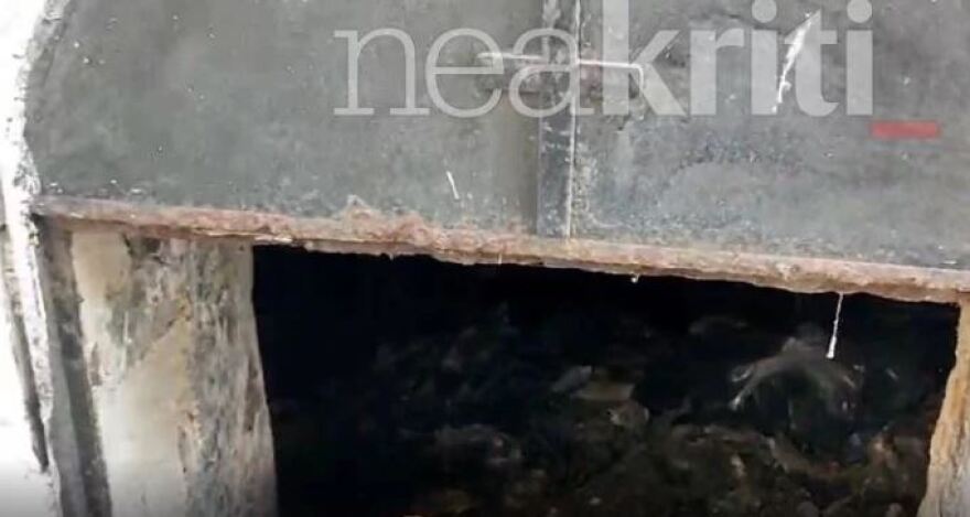 Ανατριχιαστικές εικόνες από οστεοφυλάκιο-χωματερή στην Κρήτη - Οστά δίπλα σε πλαστικά στεφάνια