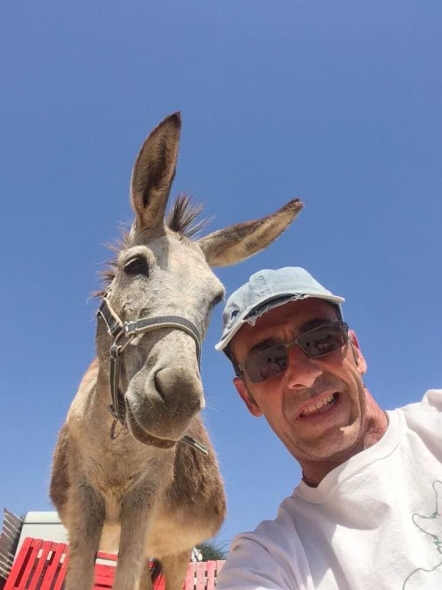 Έδεσσα: Γάϊδαρος έγινε άγαλμα και στη «Γαϊδουροχώρα» ως μάθημα συμπεριφοράς σε μαθητές 