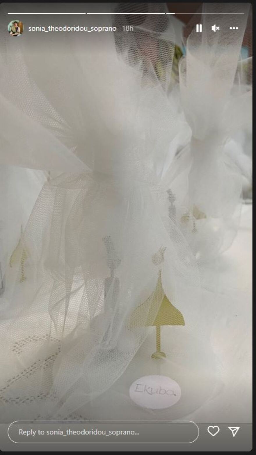 Σόνια Θεοδωρίδου: Παντρεύτηκε με πολιτικό γάμο η σοπράνο - Φωτογραφίες