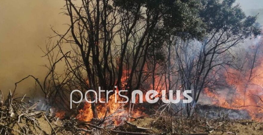 Φωτιά στην Αχαΐα: Στη μάχη και εναέρια μέσα