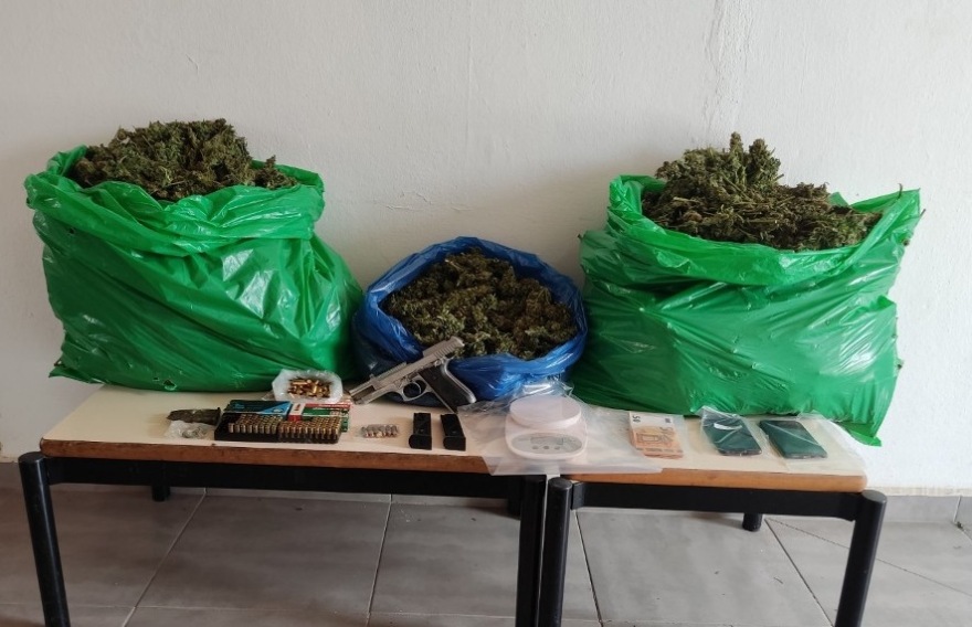 Ζωνιανά: Απλωμένα στο υπόγειο σπιτιού βρήκαν τα δενδρύλλια κάνναβης οι αστυνομικοί