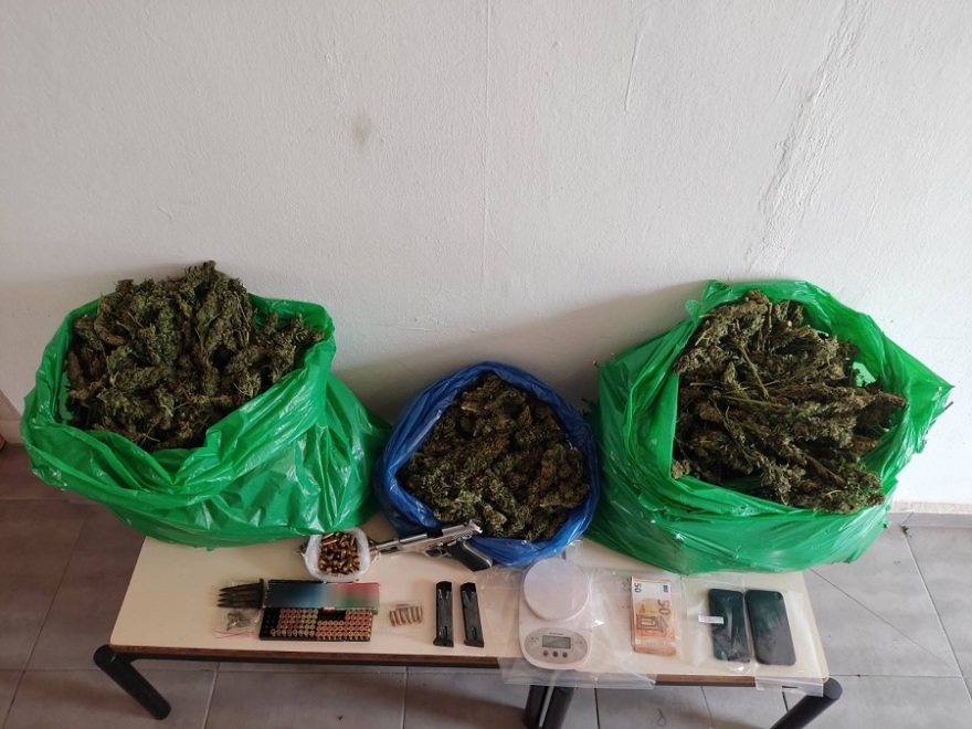 Ζωνιανά: Απλωμένα στο υπόγειο σπιτιού βρήκαν τα δενδρύλλια κάνναβης οι αστυνομικοί