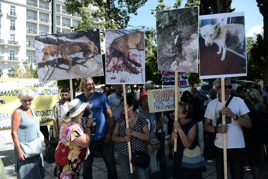 Συγκέντρωση διαμαρτυρίας κατά της κακοποίησης των ζώων στο Σύνταγμα