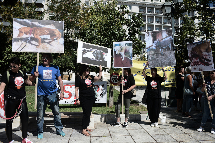 Συγκέντρωση διαμαρτυρίας κατά της κακοποίησης των ζώων στο Σύνταγμα