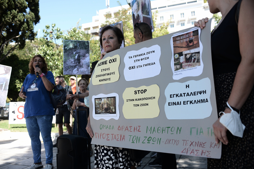 Συγκέντρωση διαμαρτυρίας κατά της κακοποίησης των ζώων στο Σύνταγμα