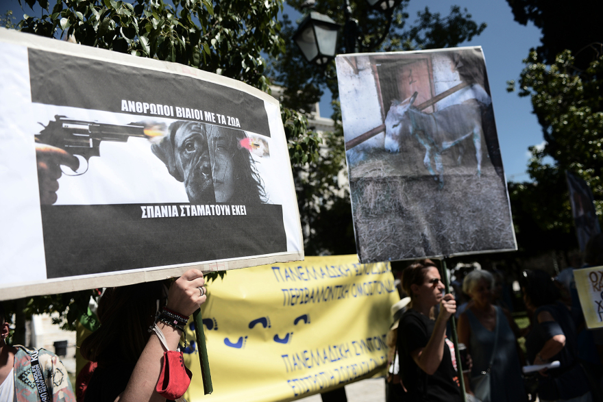 Συγκέντρωση διαμαρτυρίας κατά της κακοποίησης των ζώων στο Σύνταγμα
