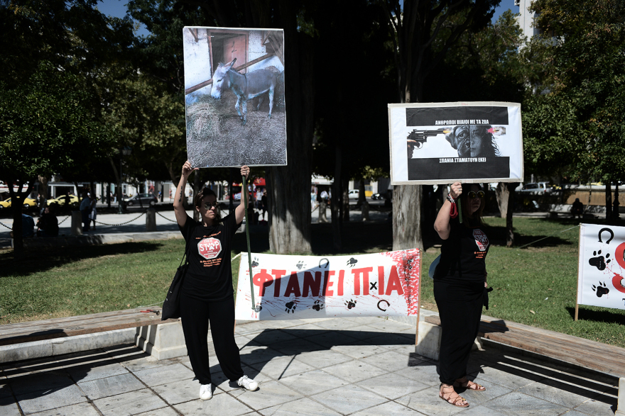 Συγκέντρωση διαμαρτυρίας κατά της κακοποίησης των ζώων στο Σύνταγμα