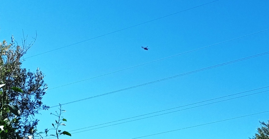 Βόλος: Πάνω από 3.000 δενδρύλλια κάνναβης εντοπίστηκαν στην Ζαγορά