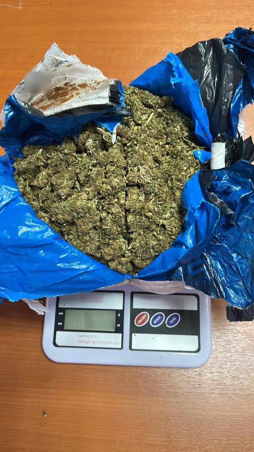 Χίος: Η σκυλίτσα «Άνκω» ξετρύπωσε δέμα με μισό κιλό κάνναβης σε μεταφορική εταιρεία