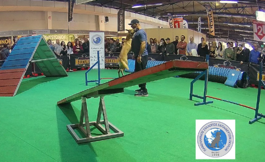 "Σκύλος-Άνθρωπος-Πόλη": Εκδήλωση για την εκπαίδευση και την αρμονική συμβίωση μαζί του