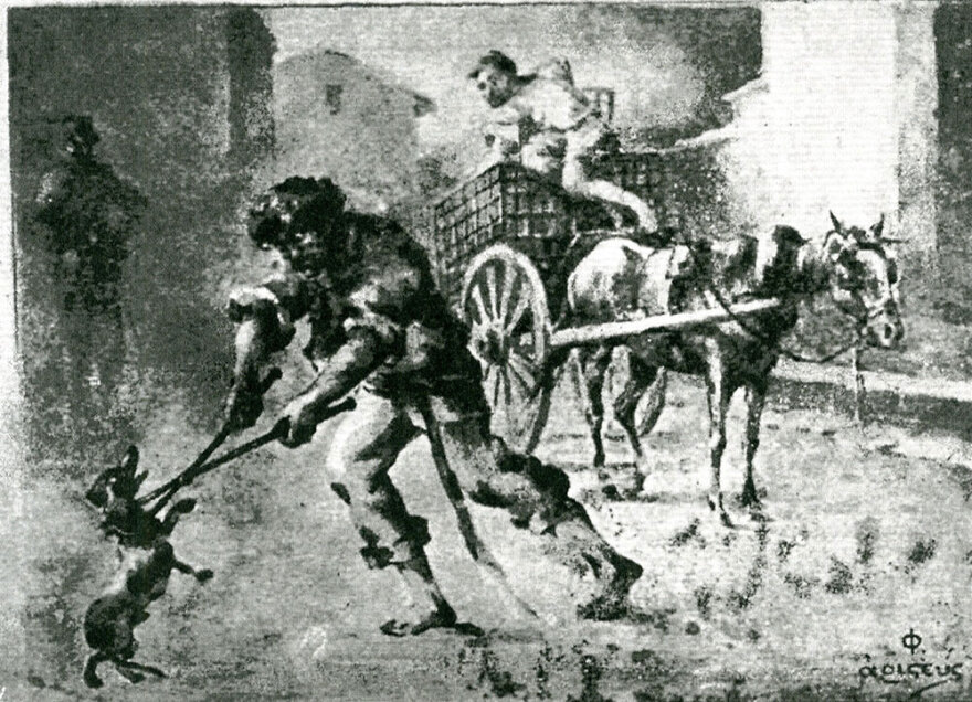 Η φορολόγηση των σκύλων (και άλλων ζώων…) στην Ελλάδα