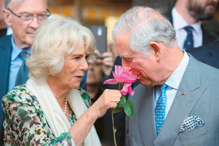 «Μου έδωσες διάδοχο, τώρα και ρεζέρβα» - Η φράση του Καρόλου στη Νταϊάνα που έκανε τον Χάρι να τον μισήσει - Προδημοσίευση από το βιβλίο