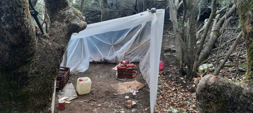 Κρήτη: Χασισοφυτεία-μαμούθ σε μονή στο Ηράκλειο - Είχαν κρεμάσει ακόμη και κομποσκοίνια!