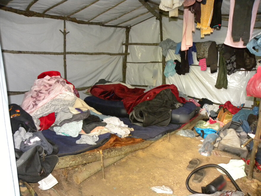 Όλυμπος: Με ελικόπτερο ξήλωσαν 5 χασισοφυτείες 40 στρεμμάτων - Έως 40 εκατ. ευρώ τα κέρδη που περίμεναν