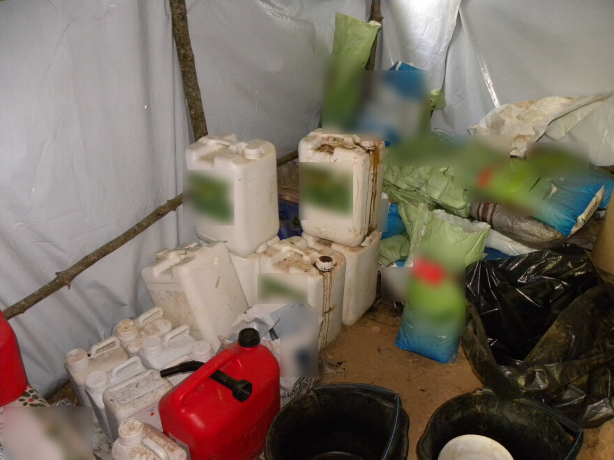 Όλυμπος: Με ελικόπτερο ξήλωσαν 5 χασισοφυτείες 40 στρεμμάτων - Έως 40 εκατ. ευρώ τα κέρδη που περίμεναν