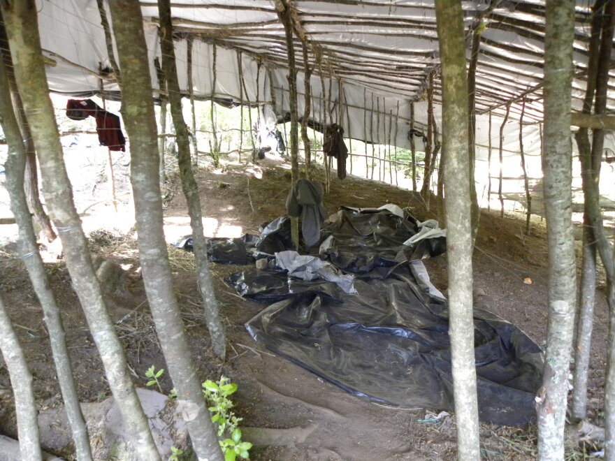 Όλυμπος: Με ελικόπτερο ξήλωσαν 5 χασισοφυτείες 40 στρεμμάτων - Έως 40 εκατ. ευρώ τα κέρδη που περίμεναν