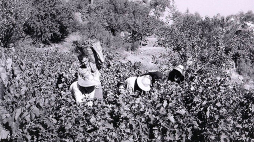 Κάτω από τις ευλογίες του Βάκχου