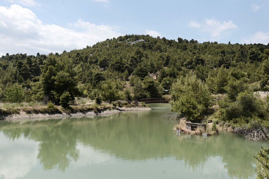Βγενόπουλος: Ποιοι διεκδικούν το μυθικό ράντσο στην Πάρνηθα - Βίντεο και φωτογραφίες