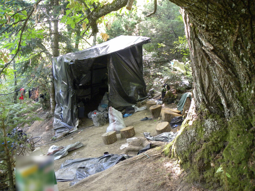 Narcos Olympos: Στο βουνό των θεών το μεγαλύτερο καρτέλ κάνναβης στην Ευρώπη 