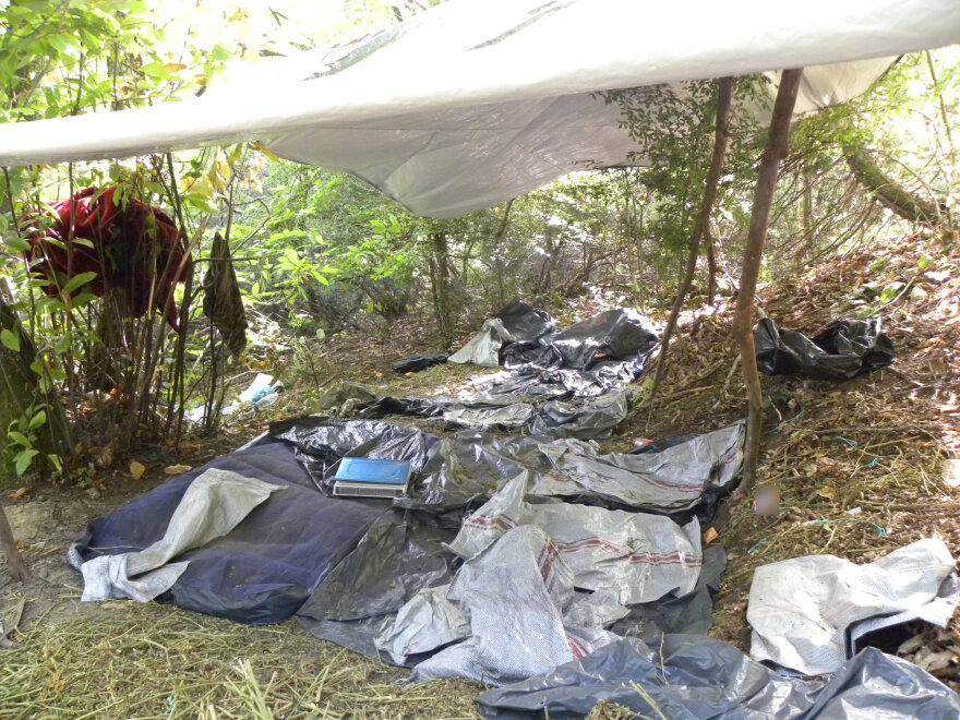 Narcos Olympos: Στο βουνό των θεών το μεγαλύτερο καρτέλ κάνναβης στην Ευρώπη 