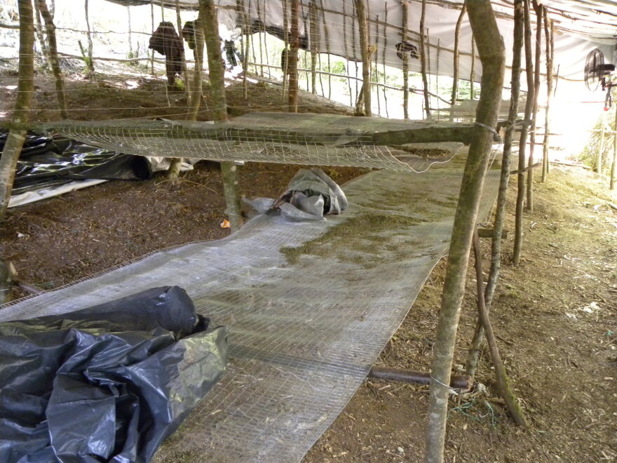 Narcos Olympos: Στο βουνό των θεών το μεγαλύτερο καρτέλ κάνναβης στην Ευρώπη 