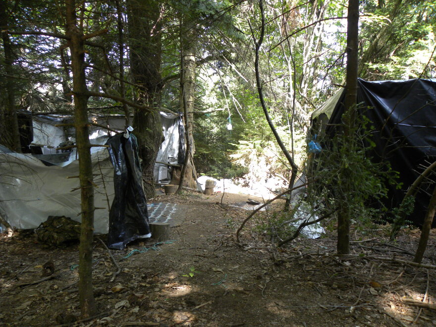 Narcos Olympos: Στο βουνό των θεών το μεγαλύτερο καρτέλ κάνναβης στην Ευρώπη 