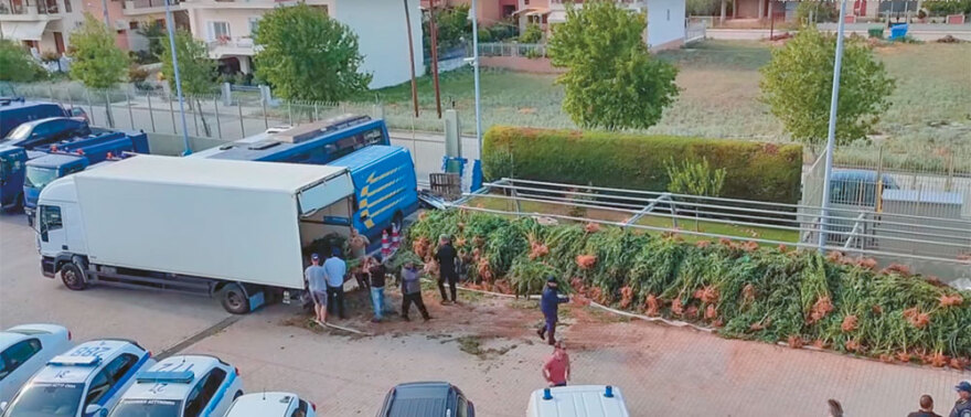 Narcos Olympos: Στο βουνό των θεών το μεγαλύτερο καρτέλ κάνναβης στην Ευρώπη 