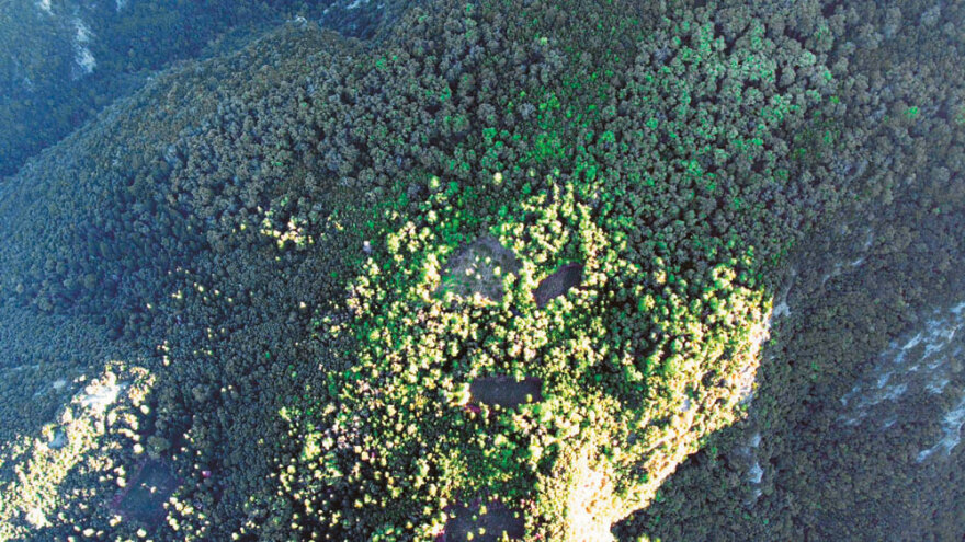 Narcos Olympos: Στο βουνό των θεών το μεγαλύτερο καρτέλ κάνναβης στην Ευρώπη 