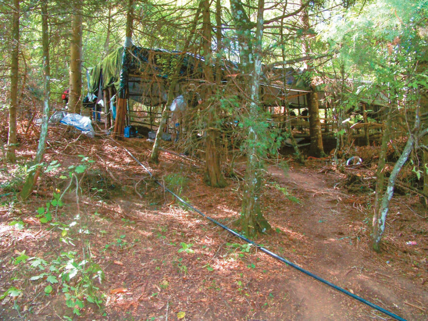 Narcos Olympos: Στο βουνό των θεών το μεγαλύτερο καρτέλ κάνναβης στην Ευρώπη 