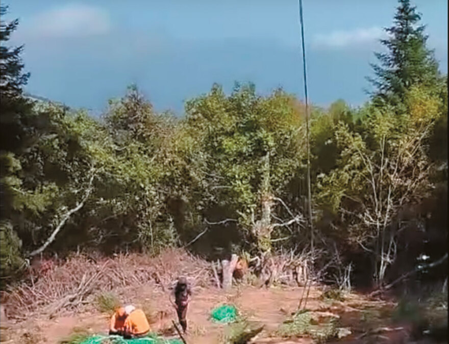 Narcos Olympos: Στο βουνό των θεών το μεγαλύτερο καρτέλ κάνναβης στην Ευρώπη 