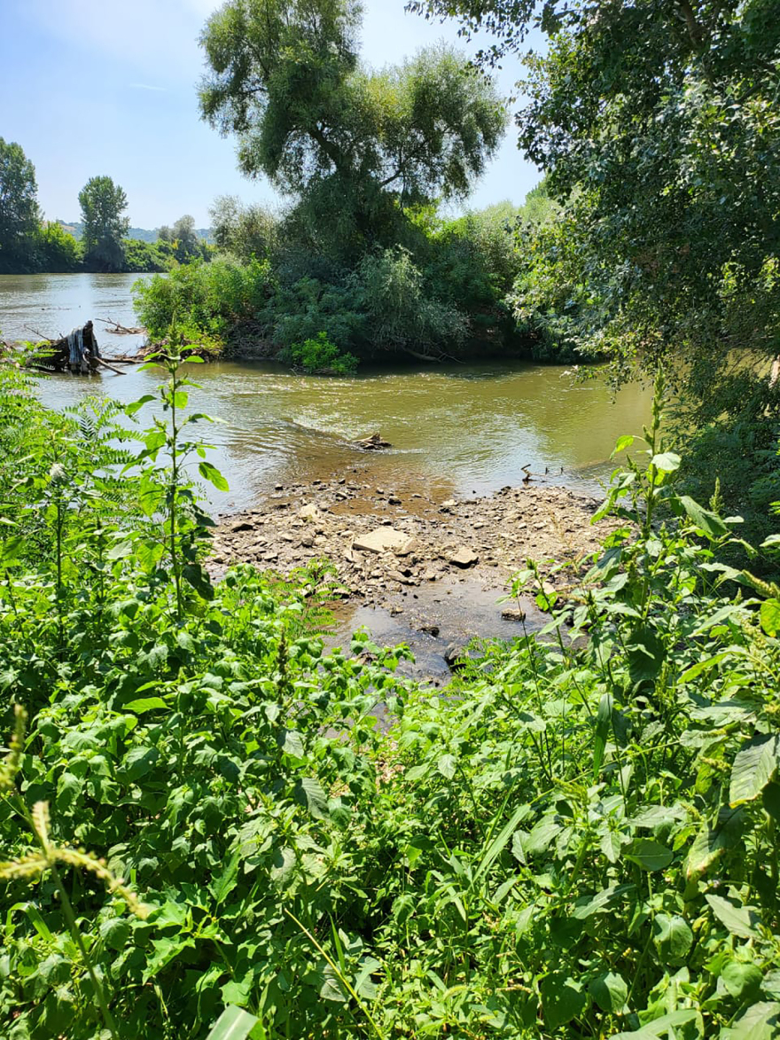 Μεταναστευτικό - Μηταράκης: «Βρέχει βάρκες στον Έβρο; Δεν ξέρω πώς οι 38 βρήκαν μία βάρκα»