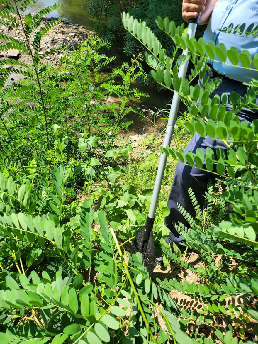 Μεταναστευτικό - Μηταράκης: «Βρέχει βάρκες στον Έβρο; Δεν ξέρω πώς οι 38 βρήκαν μία βάρκα»