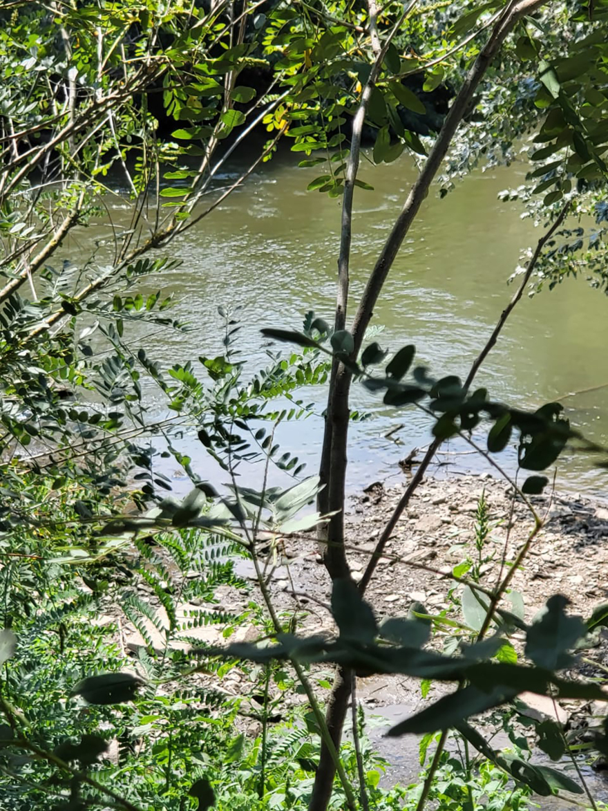 Μεταναστευτικό - Μηταράκης: «Βρέχει βάρκες στον Έβρο; Δεν ξέρω πώς οι 38 βρήκαν μία βάρκα»