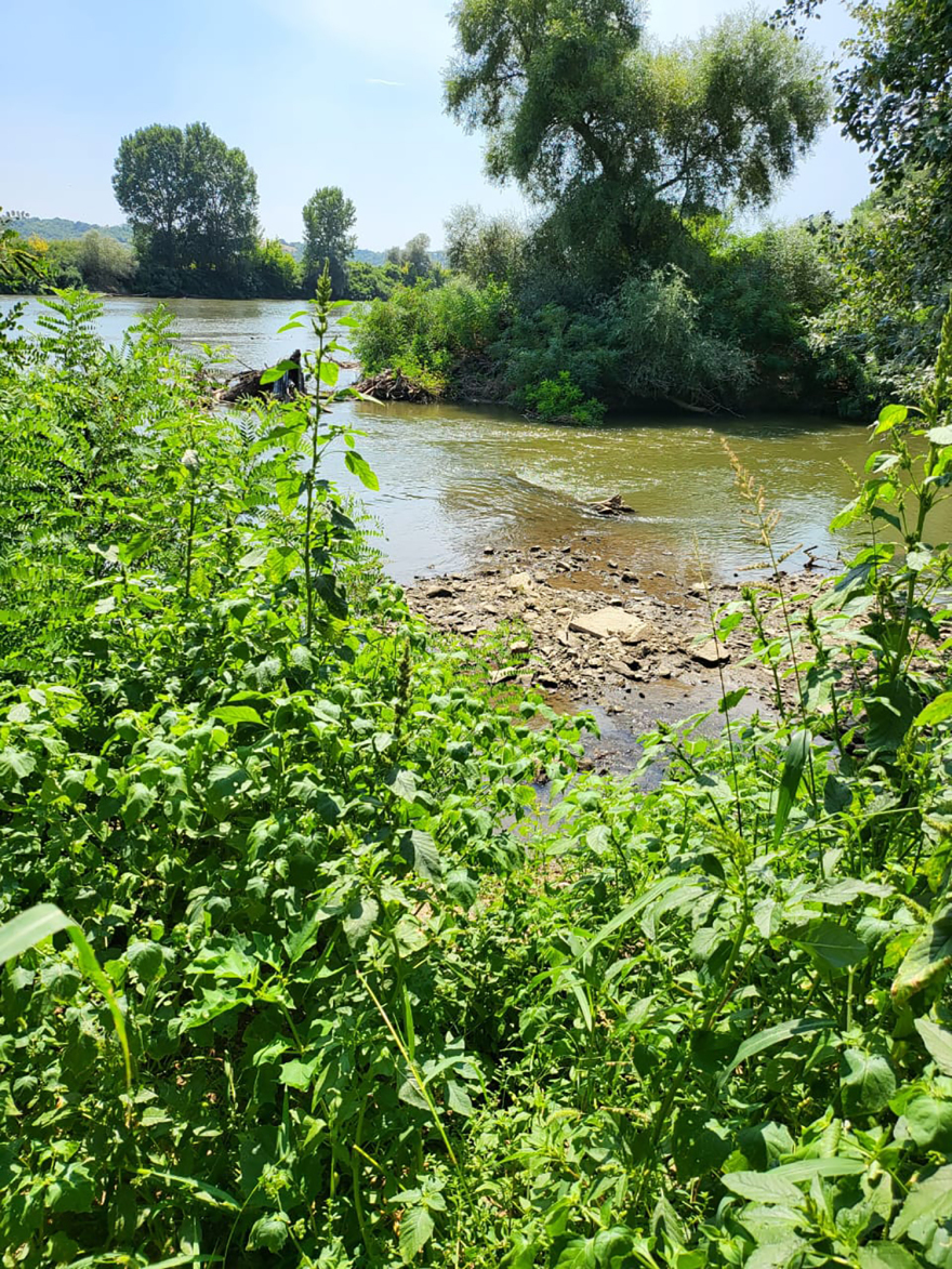 Μεταναστευτικό - Μηταράκης: «Βρέχει βάρκες στον Έβρο; Δεν ξέρω πώς οι 38 βρήκαν μία βάρκα»