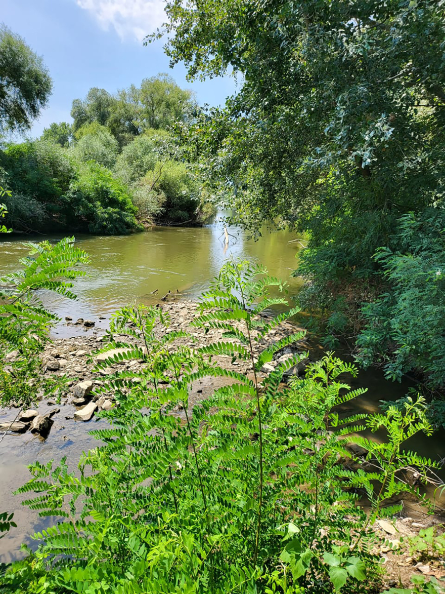 Μεταναστευτικό - Μηταράκης: «Βρέχει βάρκες στον Έβρο; Δεν ξέρω πώς οι 38 βρήκαν μία βάρκα»
