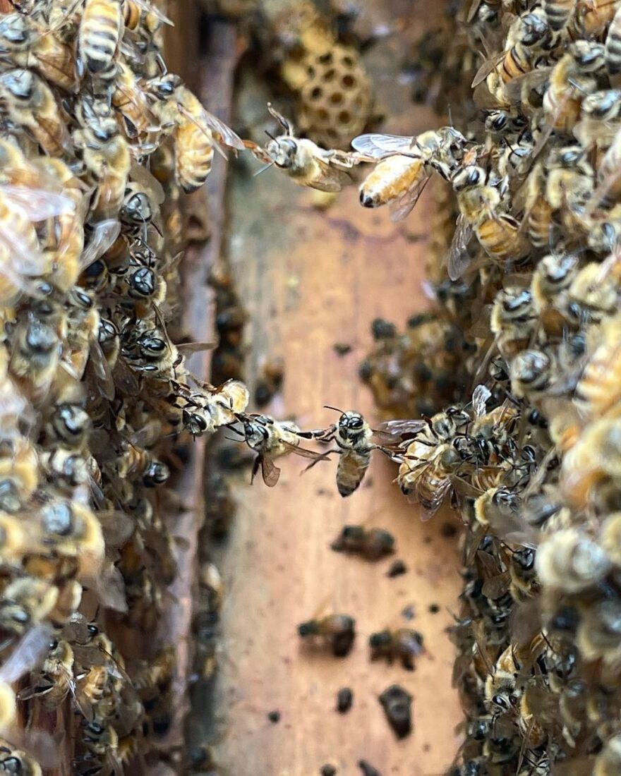 Ρίτα Όρα: Ποζάρει γυμνή στη μπανιέρα της
