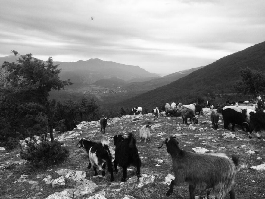 Διπλό έγκλημα στην Καβάλα: «Έλα στο μαντρί» είπε ο δολοφόνος στον ξάδερφό του πριν αυτοκτονήσει