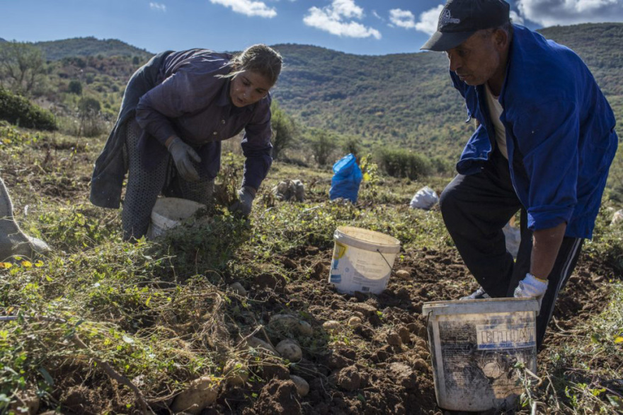 Διπλό έγκλημα στην Καβάλα: Πετυχημένη φωτογράφος η 31χρονη που δολοφονήθηκε με το παιδί της
